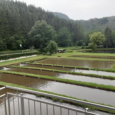 Zimmer Ohne Fruehstueck In Der Forellenzucht Burgen  Kültér fotó