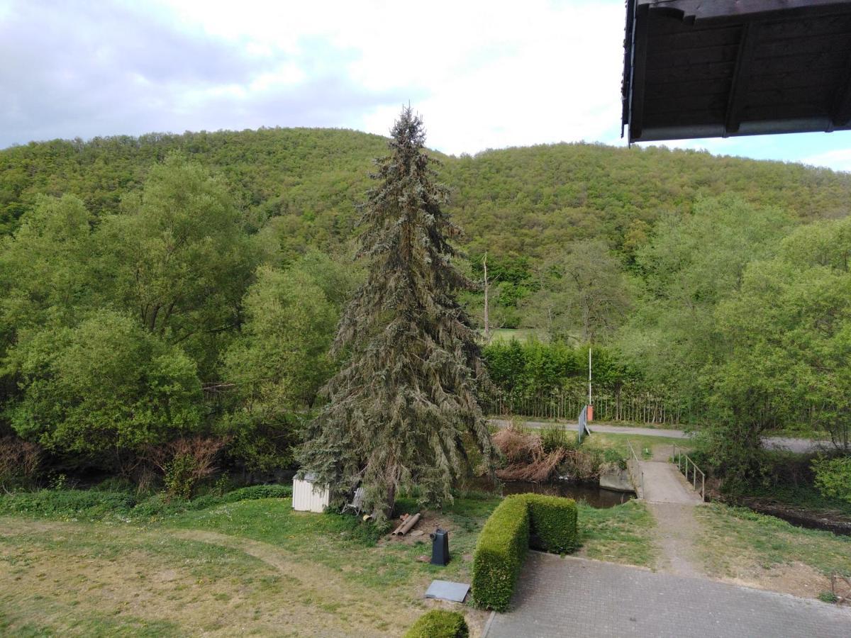 Zimmer Ohne Fruehstueck In Der Forellenzucht Burgen  Kültér fotó