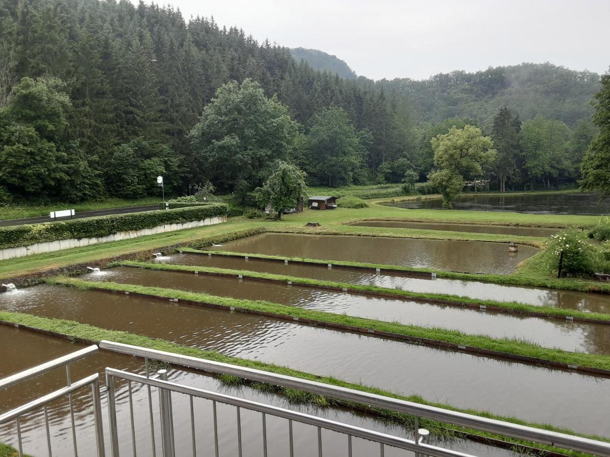 Zimmer Ohne Fruehstueck In Der Forellenzucht Burgen  Kültér fotó