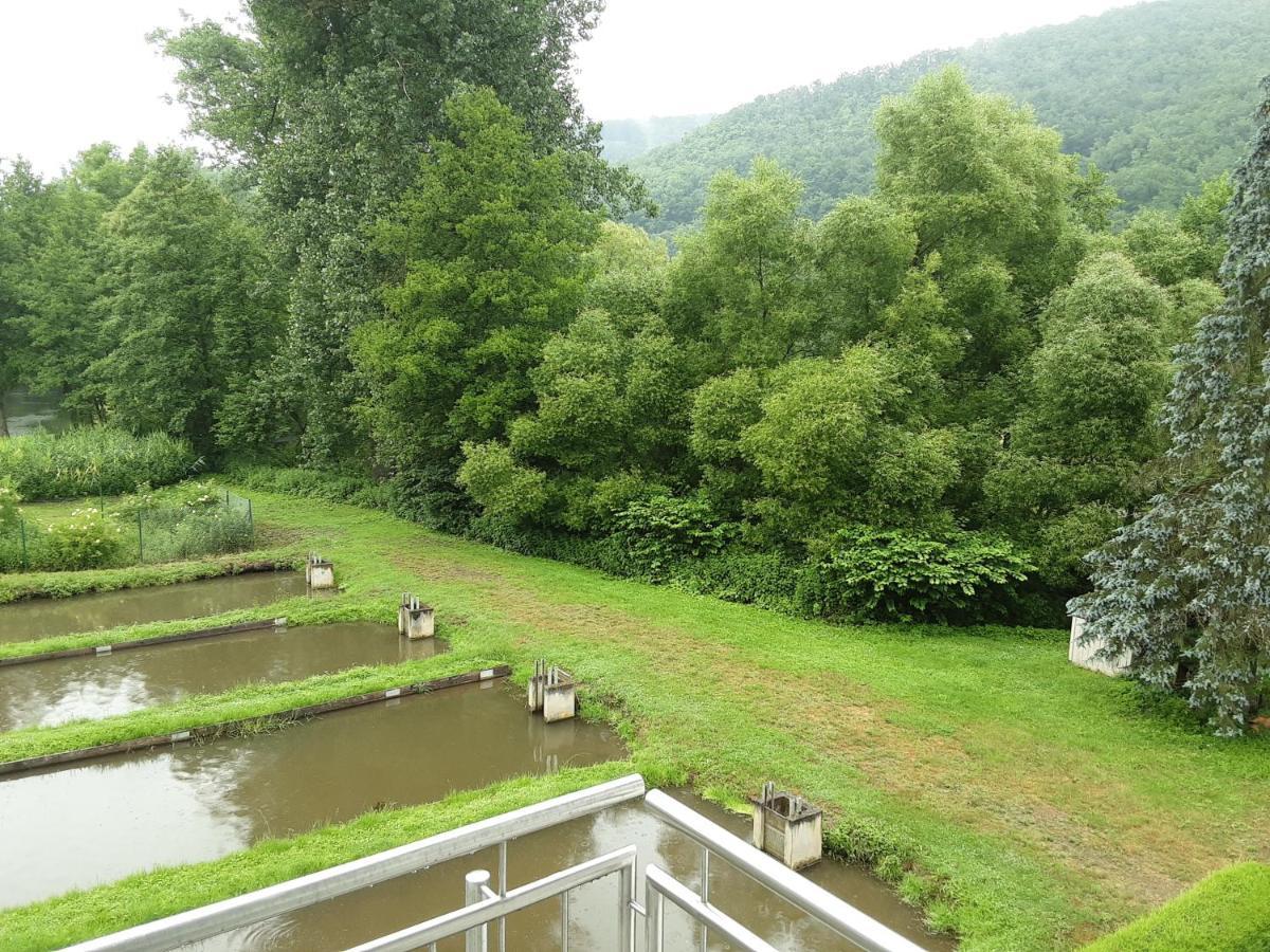 Zimmer Ohne Fruehstueck In Der Forellenzucht Burgen  Kültér fotó